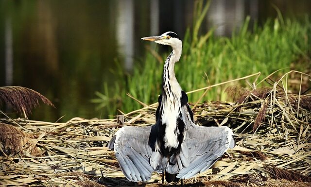 Gdzie suszyć ręczniki po kąpieli?