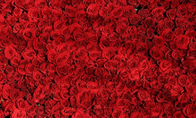 Co oznacza czerwony kosz na śmieci?