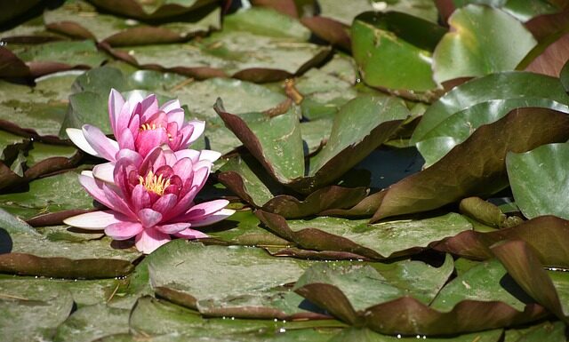 Co się je w Wielką Sobotę na obiad?