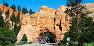 Co zamiast kostki na wjazd?