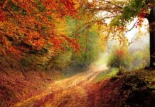 Do którego roku życia dziecko śpi w łóżeczku? Do którego roku życia dziecko śpi w łóżeczku?