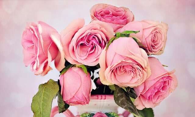 Czym się różni bawełna od flaneli? Czym się różni bawełna od flaneli?