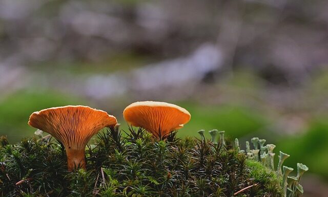 Co zrobić ze starych kubków?