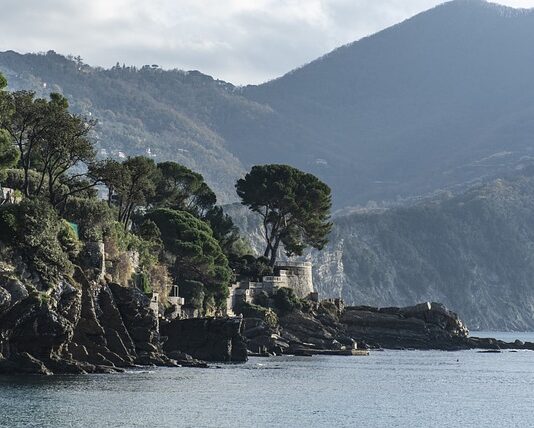 Ile kosztuje wymiana poduszek powietrznych w samochodzie? Ile kosztuje wymiana poduszek powietrznych w samochodzie?