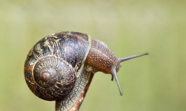 Gdzie znajduje się czujnik poduszki powietrznej?