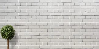 Co zamiast bukszpanu do święconki?