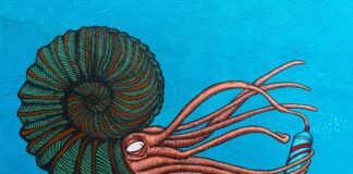 Czy potrzebny jest syfon do pralki? Czy potrzebny jest syfon do pralki?