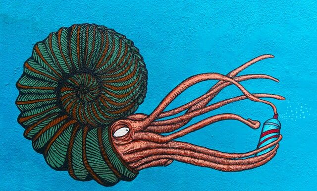 Czy potrzebny jest syfon do pralki? Czy potrzebny jest syfon do pralki?