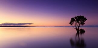 Jak odmrozić rury od wody? Jak odmrozić rury od wody?