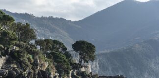 Ile kosztuje ułożenie kostki brukowej bez materiału? Ile kosztuje ułożenie kostki brukowej bez materiału?