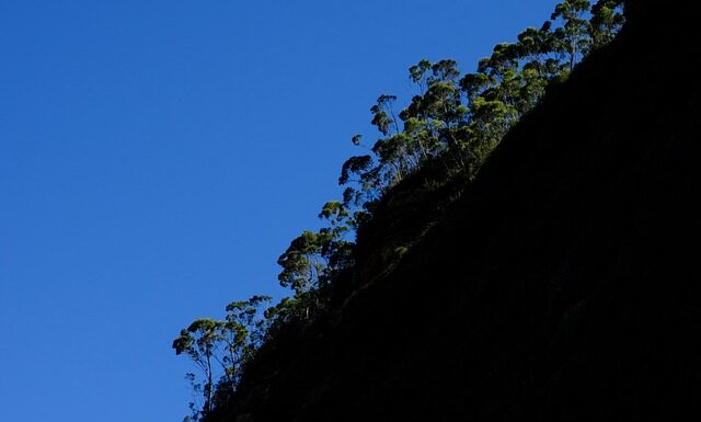 Czy kółka kauczukowe są dobre?