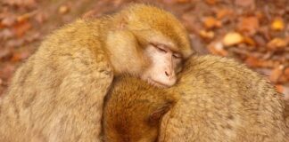 Czy opłaca się grzać farelką?