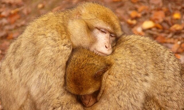 Czy opłaca się grzać farelką? Czy opłaca się grzać farelką?