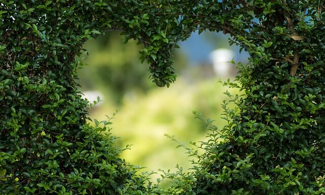 Czego nie wrzucamy do zielonego pojemnika?