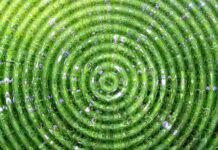 Jak dobrać kółka do fotela? Jak dobrać kółka do fotela?