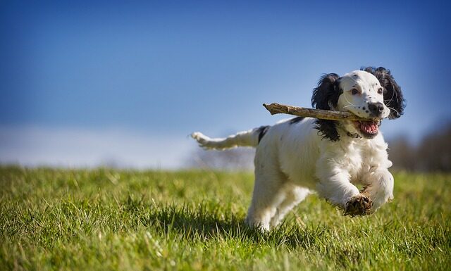 Jak odzyskać rzeczy z koszyk na Allegro?