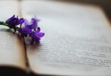 Czym wyczyścić pożółkłe białe meble kuchenne? Czym wyczyścić pożółkłe białe meble kuchenne?