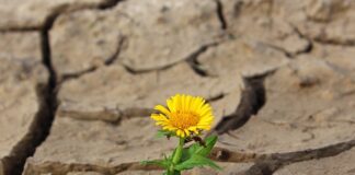 Czy można spać w pomieszczeniu gdzie suszy się pranie?