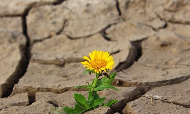 Czy można spać w pomieszczeniu gdzie suszy się pranie? Czy można spać w pomieszczeniu gdzie suszy się pranie?