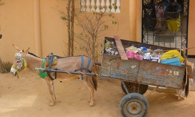 Czy śmieciarka ma komory?