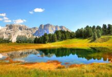 Czy Gardena to dobra firma? Czy Gardena to dobra firma?