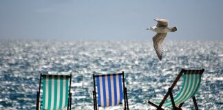 Ile kosztuje leżak na plażę?