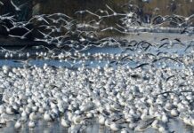 Czy do działki rolnej musi być droga?