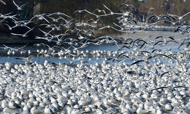 Czy do działki rolnej musi być droga? Czy do działki rolnej musi być droga?