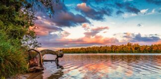 Co się stanie jak nie zapłacę za wygraną licytację?