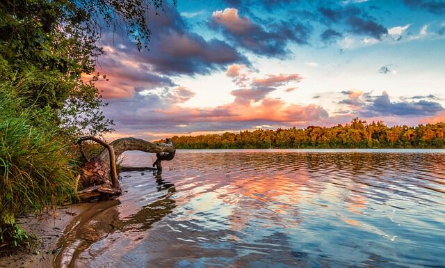 Co się stanie jak nie zapłacę za wygraną licytację?