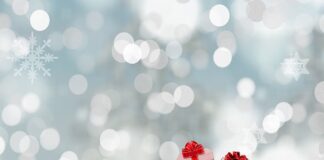 Kto dostarcza worki do segregacji śmieci?