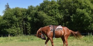 Jak zamontować kółka do łóżeczka?