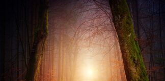 Jakie oświetlenie na podwórko?