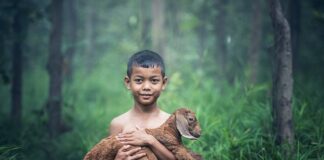 Co to znaczy gdy dymi się z kozy?