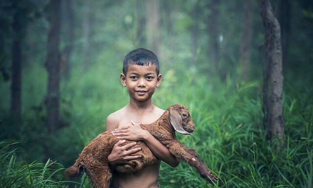 Co to znaczy gdy dymi się z kozy?