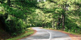 Jak zapłacić za wylicytowany przedmiot na Allegro? Jak zapłacić za wylicytowany przedmiot na Allegro?