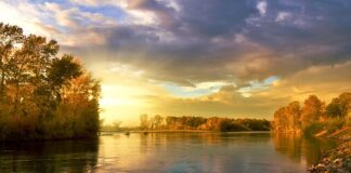 Jakie są najmodniejsze kolory mebli kuchennych?