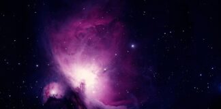 Co wrzucamy do czarnego pojemnika na śmieci? Co wrzucamy do czarnego pojemnika na śmieci?